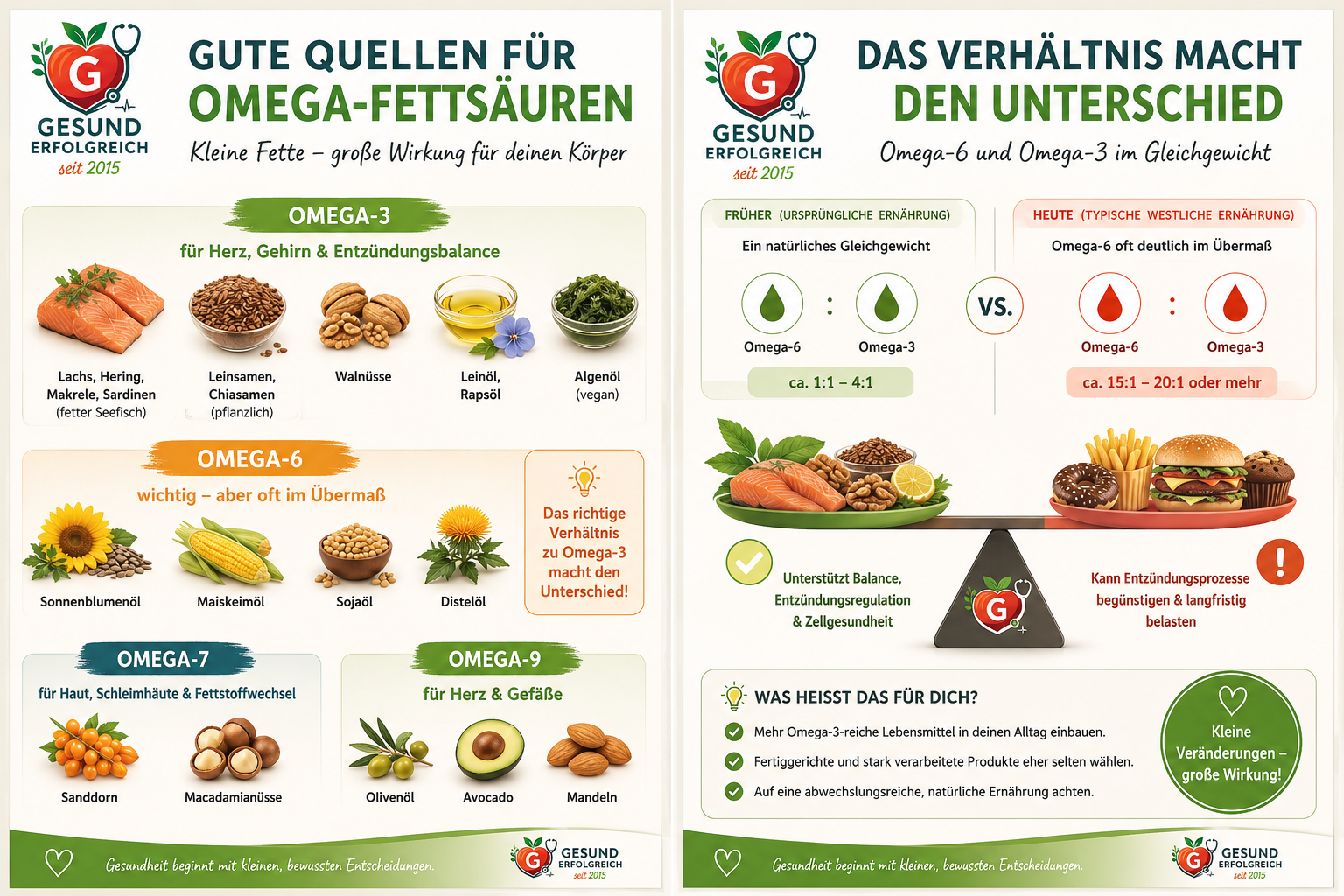 Infografik zu Omega-Fettsäuren mit Lebensmitteln für Omega-3, Omega-6, Omega-7 und Omega-9 sowie einer Darstellung des empfohlenen Verhältnisses von Omega-3 zu Omega-6 in der Ernährung.