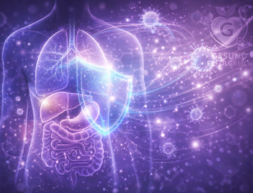 Erkältung ist kein Problem – sie ist Training!