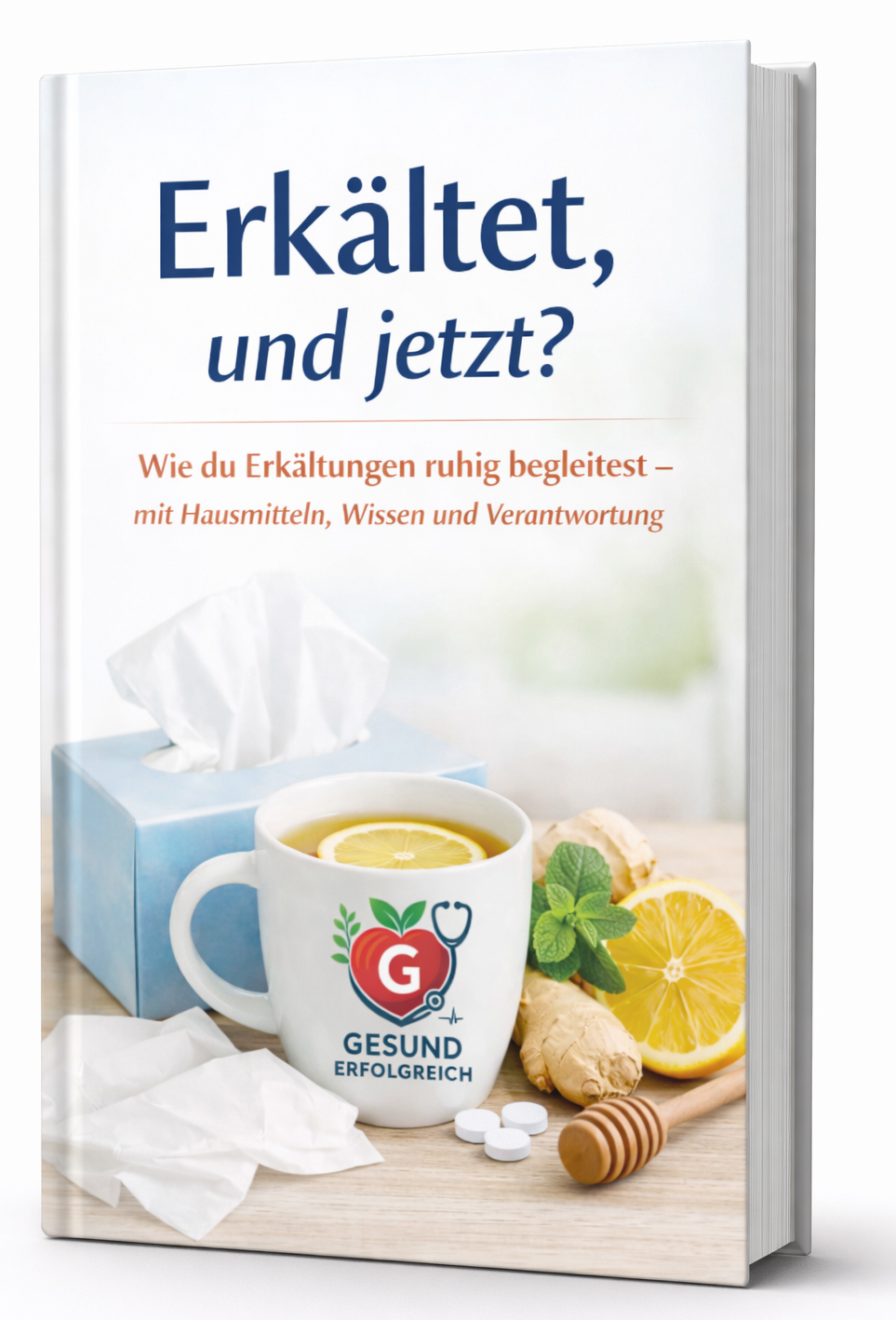 E-Book Cover zum Thema Erkältung, Immunsystem und natürliche Unterstützung bei Infekten.