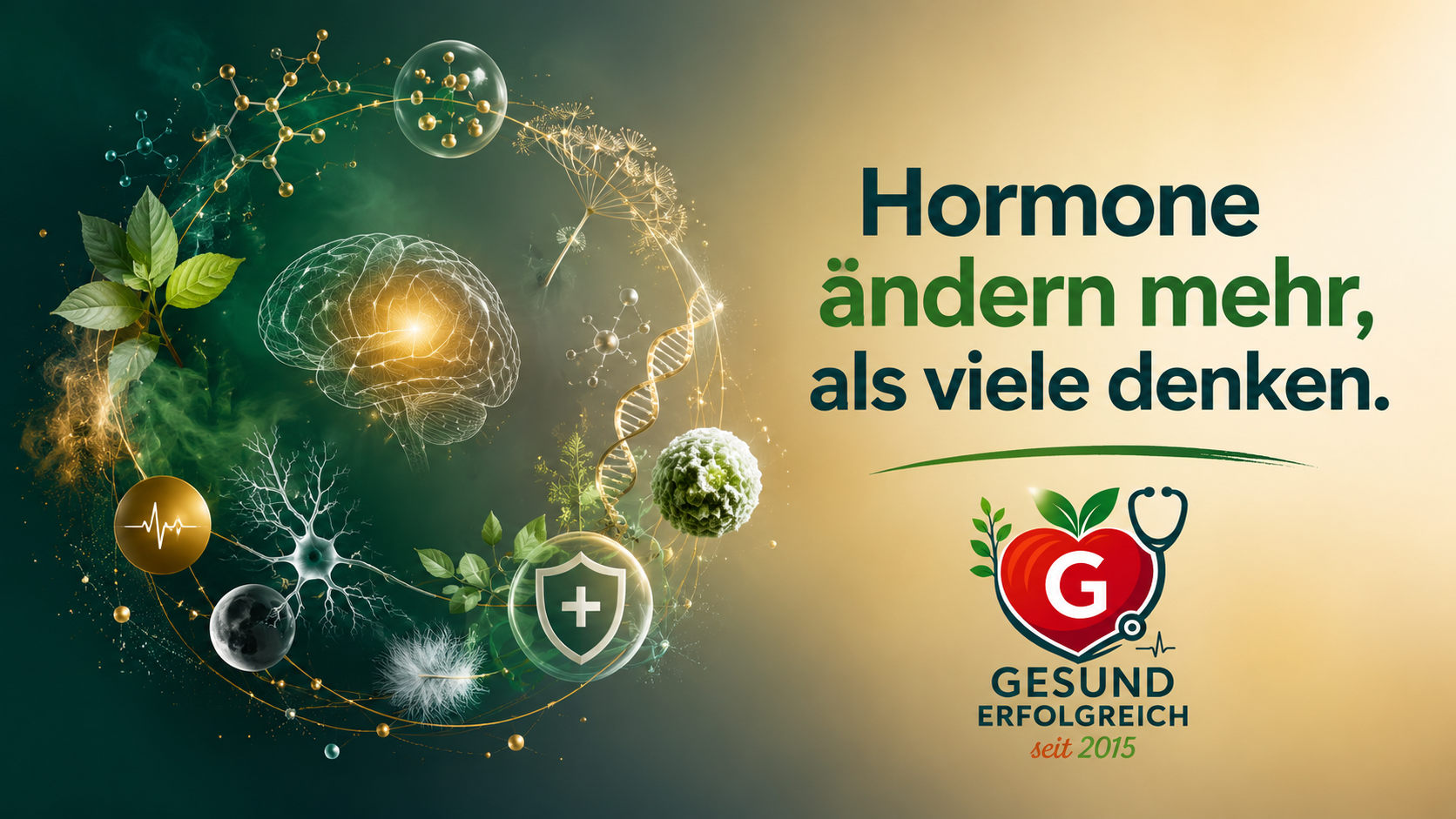 Hormone, Nervensystem und Immunsystem verständlich erklärt – Gesundheitsblog über Wechseljahre bei Männern und Frauen