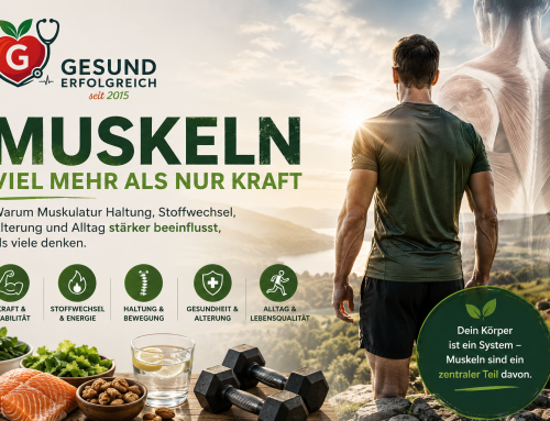 Muskeln – viel mehr als nur Kraft